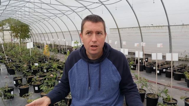 Vertical Farming: A Professional Grower Checks the Hype #listenable смотреть онлайн
