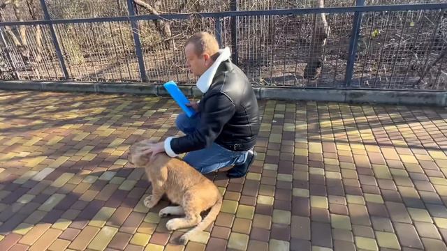 На Асаду ОХОТИЛИСЬ тигры и ягуары! Не бойся, рядом Олег Зубков! Веселая прогулка. Тайган смотреть онлайн