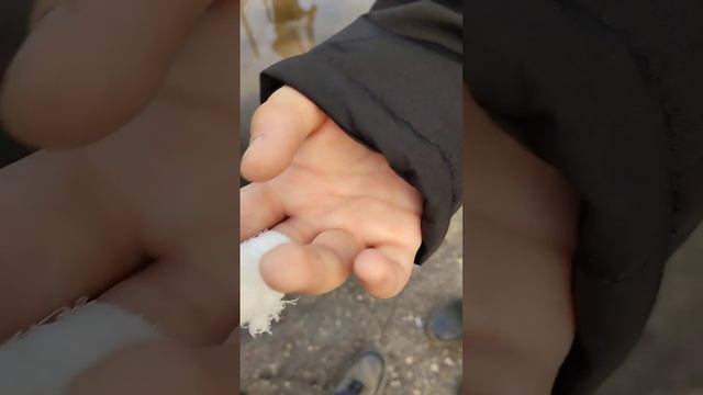 спалились перед охраной и мы снимали обзор школы и сева получил пальцем до крови смотреть онлайн