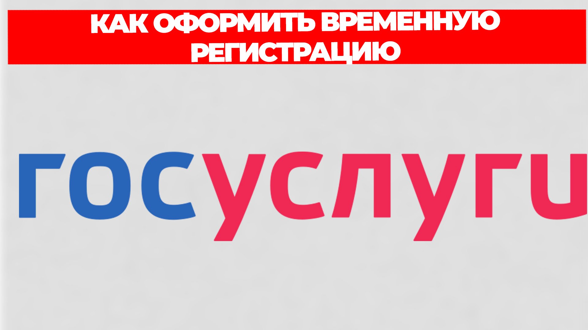 Всезнающий Енот