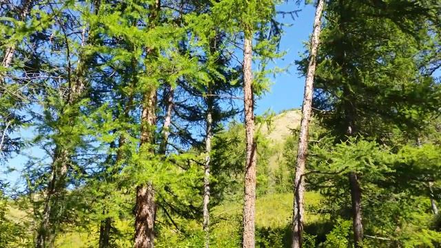 Nature in Zaysan смотреть онлайн