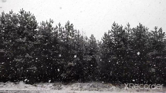 снег крупными хлопьями ,такое не часто увидешь смотреть онлайн