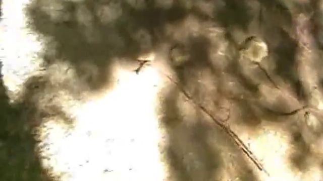 VTS 01 1 смотреть онлайн