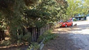 Азовское море. пос.Юрьевка, Донецкая область. Август 2020.