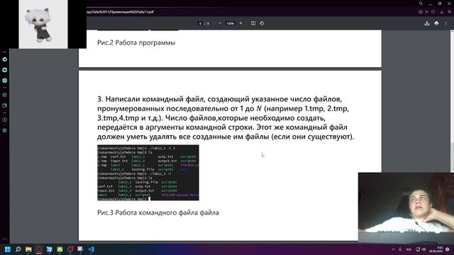 Защита презентации Лаба11
