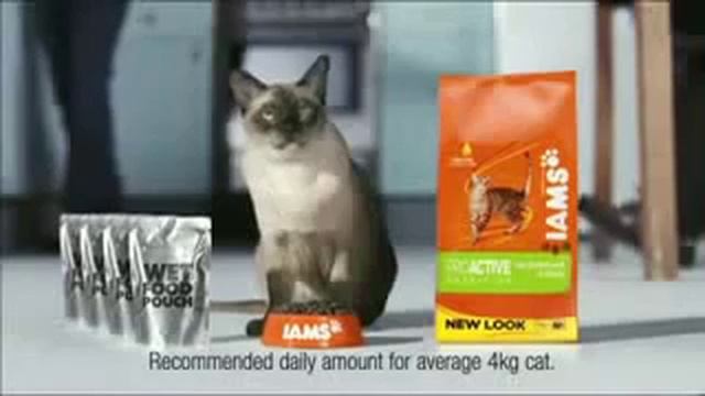 Промо корма для котов и кошек - IAMS смотреть онлайн