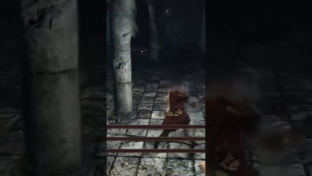 3 босса сразу 🙀 в игре Dark Souls 2!!! #mrcatgame #darksiders2 #темныедуши2 смотреть онлайн