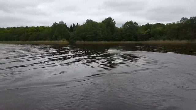 Racing Boat Fei Lun FT012 смотреть онлайн