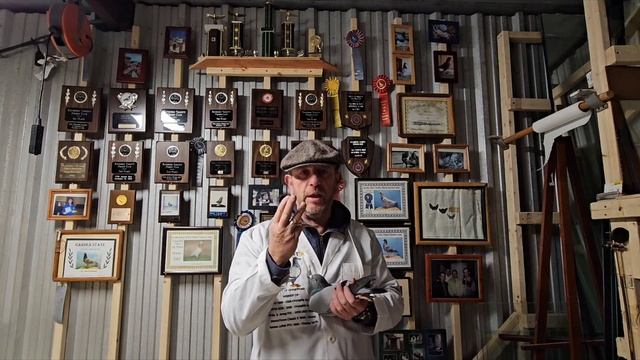 #голуби #иммиграция #сша НЕ СпЕшИтЕ!