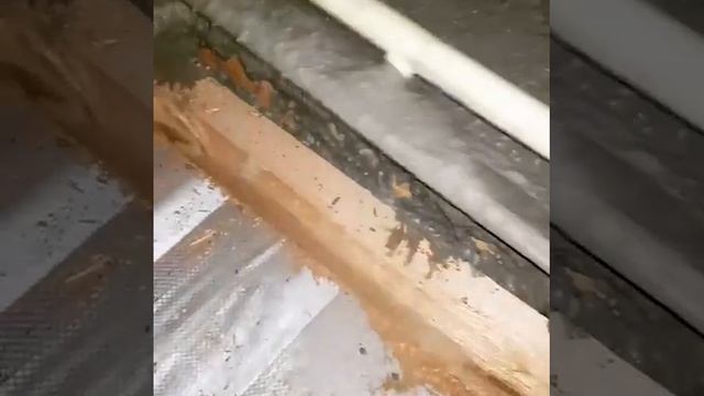 Утепление, заливка крыши пенобетоном. По нему можно ходить и грызуны не будут беспокоить. смотреть онлайн