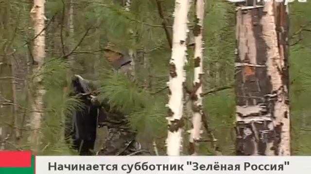 Всероссийский экологический субботник начался в Югре на день раньше смотреть онлайн