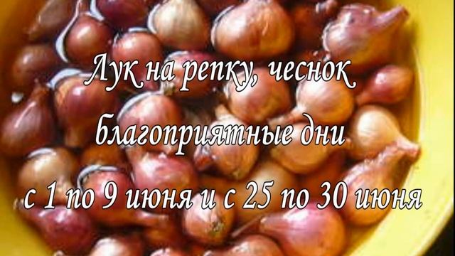 Посевной Календарь! Лунный Календарь Огородника На ИЮНЬ 2021. Что и Когда сажать. Благоприятные дни смотреть онлайн