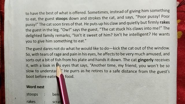 The Cat By Andrew Barton Paterson | Analysis And Explanation | Try And Learn
