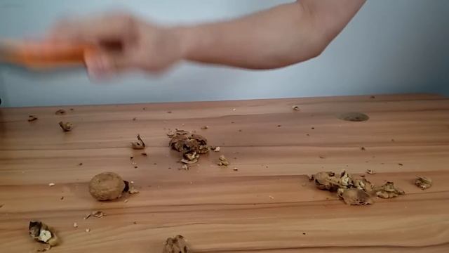 Ulefone Armor - Hammering Walnuts and Nails смотреть онлайн