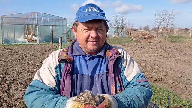 Малина Маравилла, даже заяц не проходит мимо смотреть онлайн