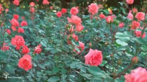 Мантра благословения и  открытия всех дорог