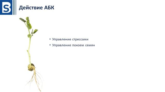 Гербициды. Урок 4. Гормоны смотреть онлайн