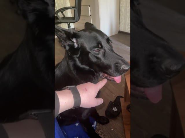 IMG 0067 смотреть онлайн