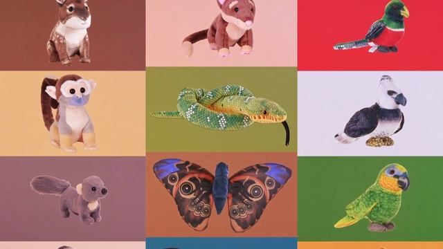 Embrace the future of conservation with us in 2024 смотреть онлайн