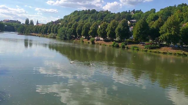 два лебедя Неккар смотреть онлайн