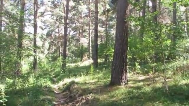 Дом лесника  Миасс  Старый город