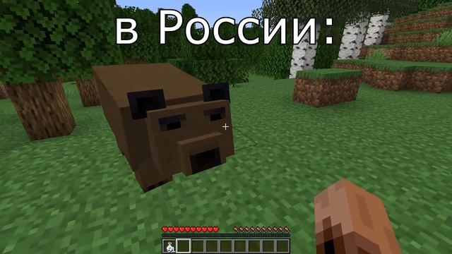 когда находят медведя в разных странах: смотреть онлайн