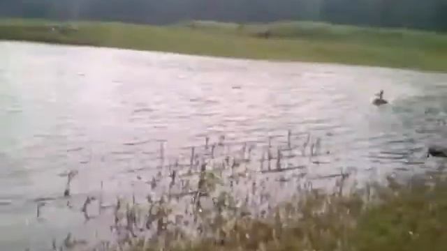 Аэроглиссер 14.07.12. смотреть онлайн
