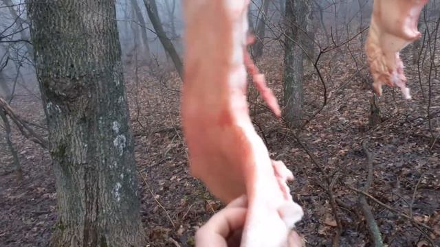 Подкормка синиц в зимнее время смотреть онлайн