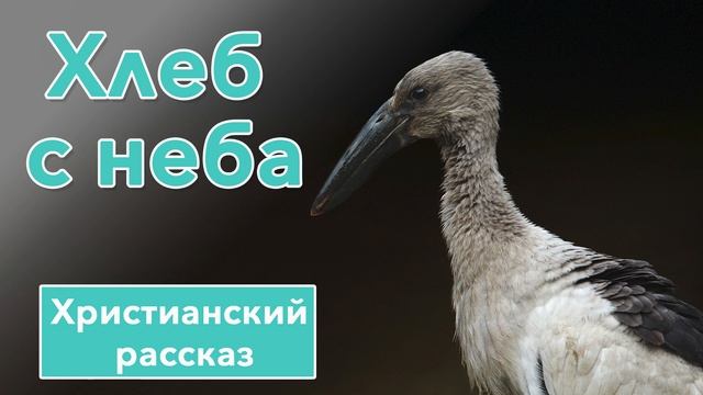 Хлеб с неба - ИНТЕРЕСНЫЙ ХРИСТИАНСКИЙ РАССКАЗ | Христианские рассказы смотреть онлайн