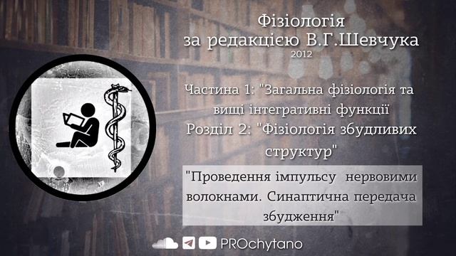 Проведення імпульсу нервовими волокнами. Синаптична передача збудження | Фізіологія | Шевчук смотреть онлайн