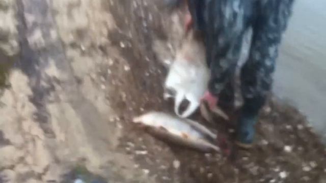 поздняя осень рыбалка на Оке смотреть онлайн