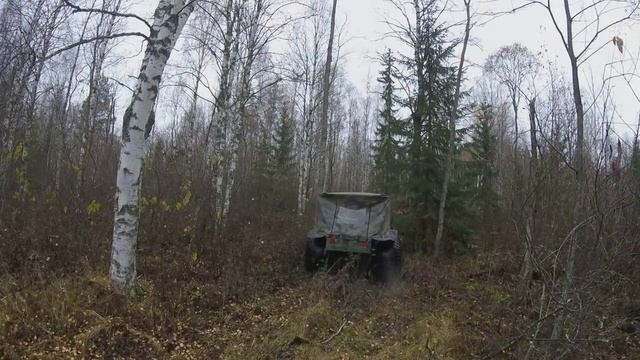 Лесник, Кузнечик и Матизавр осенняя прогулка смотреть онлайн