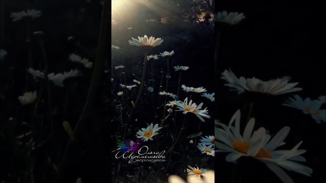 💞Молитва Петру и Февроньи. Для тех, кто одинок и ищет себе вторую половинку💞 смотреть онлайн