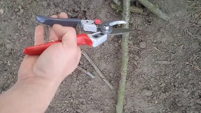 Секаторы из Китая смотреть онлайн