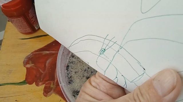 САЖАЮ СЕМЕНА ПЕНСТЕМОНА!