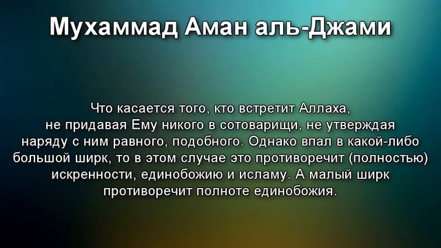 Шейх аль-Джами - РАЗНИЦА МЕЖДУ БОЛЬШИМ И МАЛЫМ ШИРКОМ смотреть онлайн