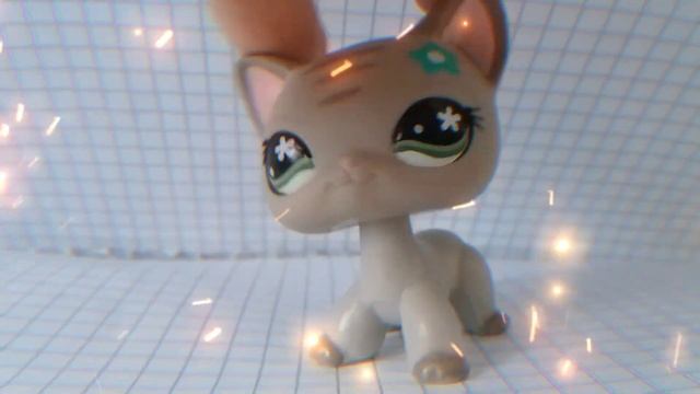 ??LPS MV: photo id / BRILLIANT LPS?? смотреть онлайн
