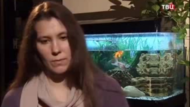 Обезумевшая Гейропа «Постскриптум» 14.12. 2013 смотреть онлайн