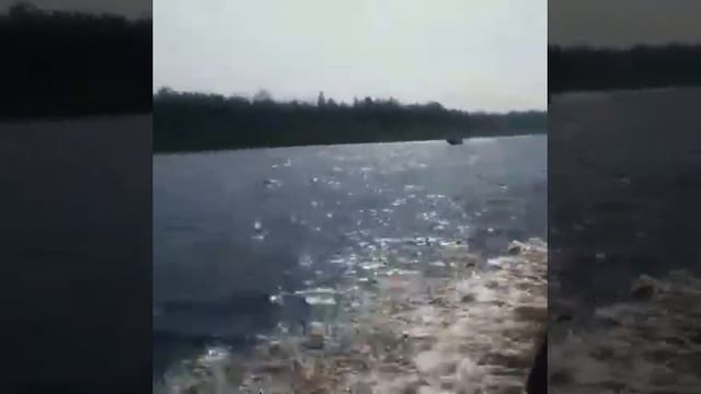 Водомет меркурий60