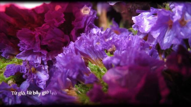 [IkoraVS@Vnsharing] Statice - Dasoku