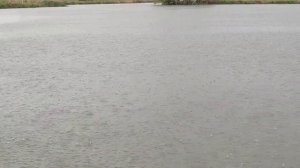 Рыбалка в Осетии