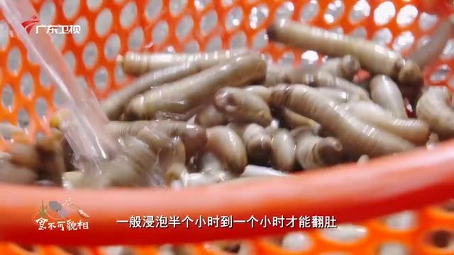 鱼肉吃了30年，这种"鱼“还是第一次吃，真是鲜香酥脆，下酒又下饭!｜老广的味道第6季 ep1 食不可貌相 смотреть онлайн