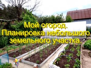 Мой огород. Планировка небольшого земельного участка.