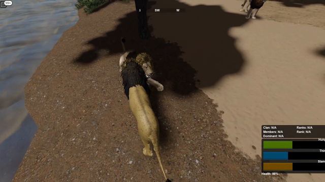 Playing Wild Savannah смотреть онлайн