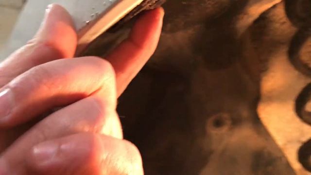 Шкода Рапид 2018. Замена звукового сигнала. смотреть онлайн
