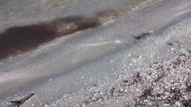 с днем рождения, папа! смотреть онлайн