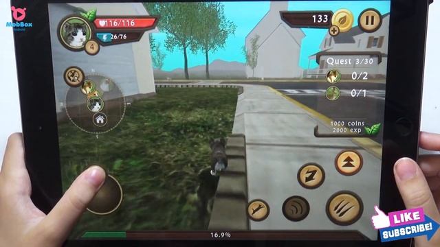 Cat Sim Online: Play With Cat Clan Pet Simulator Android Gameplay Tv Video