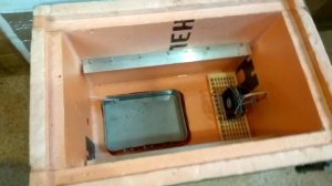 Мой Самодельный инкубатор. Для инкубации и вывода перепелов и кур