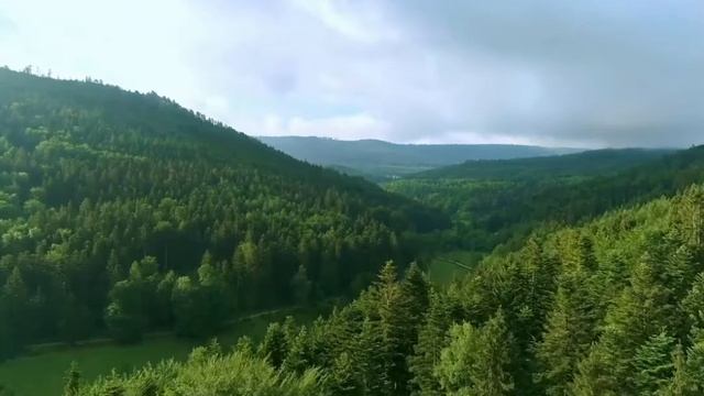 Дмитрий Метлицкий "Весенний вальс" смотреть онлайн