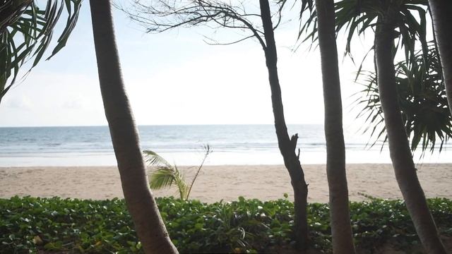 Где отдохнуть на Пхукете?! Обзор: лучшие пляжные клубы Пхукета! InDreams Estate Пхукет 2020 смотреть онлайн